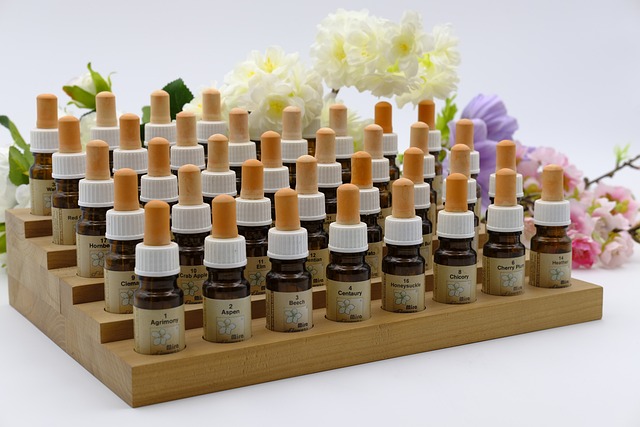 bach-flowers-3144611_640 bach flowers 3144611 640 Fleurs de Bach : Fleurs de bien