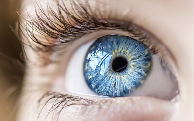 L’iridologie ! Quand nos yeux nous révèlent…