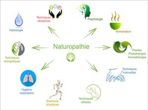 naturopathie prise en charge globale La Naturo ? Quésaco ?