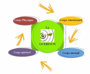 nos differents corps L'énergétique !