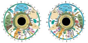 pratique iridologie L'iridologie ! Quand nos yeux nous révèlent...